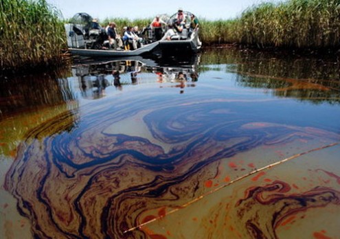 largest-oil-spill-marshes