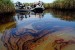 largest-oil-spill-marshes largest-oil-spill-marshes